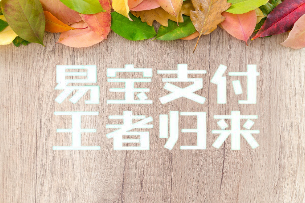 易钱包优势：打造便捷、安全、低成本的支付
